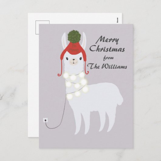 白いラマによって差し込まれるクリスマス シーズンポストカード (正面/裏面)