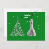 白いラマはクリスマスキャロルを歌います: Fa LaLaLaのラマ僧 シーズンポストカード (正面/裏面)