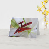 白いリリー、花です。 カード (黄色い花)