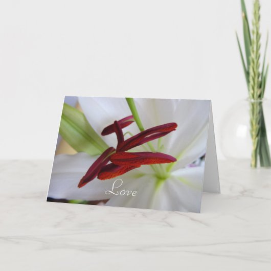 白いリリー、花です。 カード (正面)