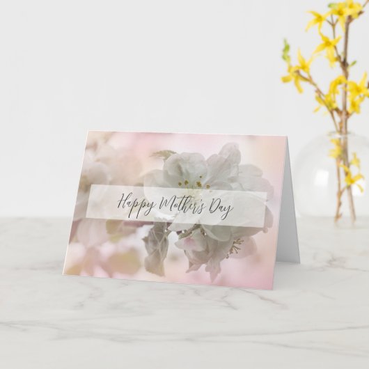 白いリンゴの花の写真　母の日 カード (黄色い花)