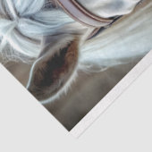 白いリードイン 薄葉紙 (詳細)