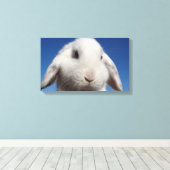 白いループ キャンバスプリント (インサイチュ (ウッドフロア))