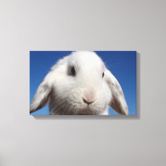 白いループ キャンバスプリント (正面)