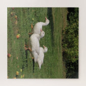 白いレンズ豆、牧草地のアヒル、食べ健康な ジグソーパズル (横)