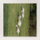 白いレンズ豆、牧草地のアヒル、食べ健康な ジグソーパズル (横)