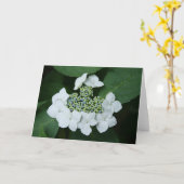 白いレースの挨拶状 カード (黄色い花)