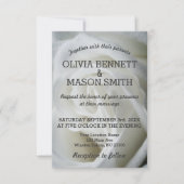 白いローズテクスチャ結婚カード 招待状 (正面)