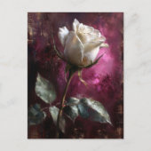 白いローズパープルの背景 ポストカード (正面)