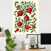 白い上にザクロとベラモス ポスター (ホームオフィス)