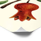 白い上にザクロとベラモス ポスター (コーナー)