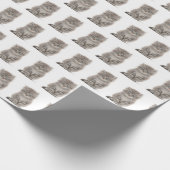 白い上に灰色のふわふわした子猫 ラッピングペーパー (角)