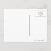 白い世界のクリスマスカードの冬の木 シーズンポストカード (裏面)