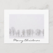 白い世界のクリスマスカードの冬の木 シーズンポストカード (正面)