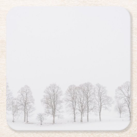 白い世界のコースターの冬の不毛の木 スクエアペーパーコースター (正面)