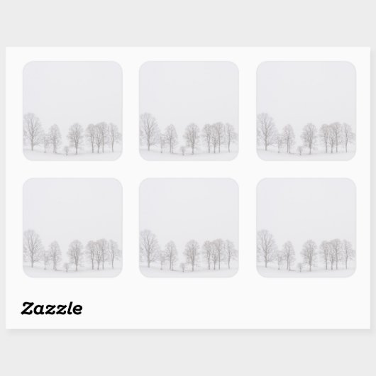 白い世界のステッカーで冬の不毛の木 スクエアシール (シート)
