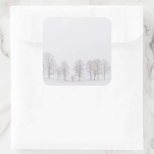 白い世界のステッカーで冬の不毛の木 スクエアシール (バッグ)