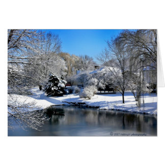 白い世界は音なしで話します。