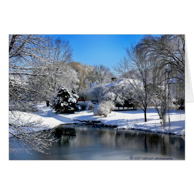 白い世界は音なしで話します。 (正面横)