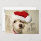 白い中国語によって頂点に達されるpowderpuff犬 シーズンカード (正面/裏面)