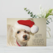 白い中国語によって頂点に達されるpowderpuff犬 シーズンカード (スタンド正面)