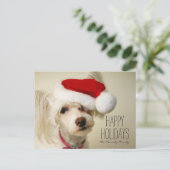 白い中国語によって頂点に達されるpowderpuff犬 シーズンポストカード (スタンド正面)