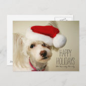 白い中国語によって頂点に達されるpowderpuff犬 シーズンポストカード (正面/裏面)