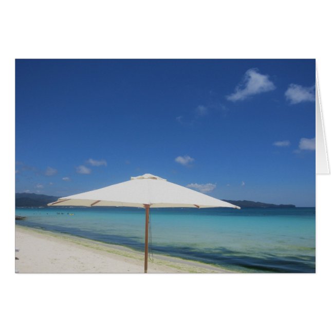 白い傘 (正面横)