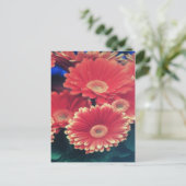 白い先端の花 ポストカード (スタンド正面)