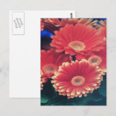 白い先端の花 ポストカード (正面/裏面)