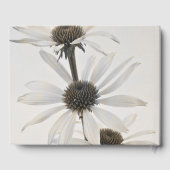 白い円錐形の花3つ ゲストブック (裏面)