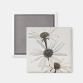 白い円錐形の花3つ マグネット (正面/裏面)