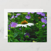 白い円錐花、紫色の花と蛾 ポストカード (正面/裏面)