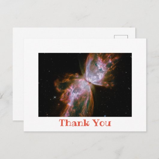 白い写真縁どありがとう ポストカード (正面/裏面)