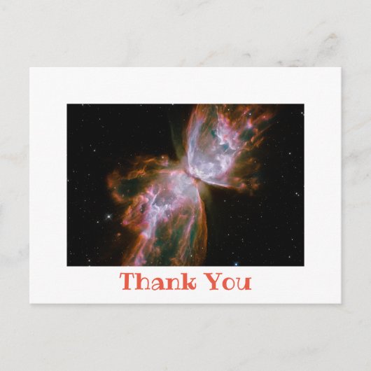 白い写真縁どありがとう ポストカード (正面)