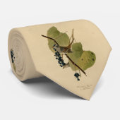 白い冠を持つスズメ – Audubon's Birds of America ネクタイ (ロール)