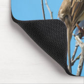 白い冠を持つ雀 マウスパッド (コーナー)