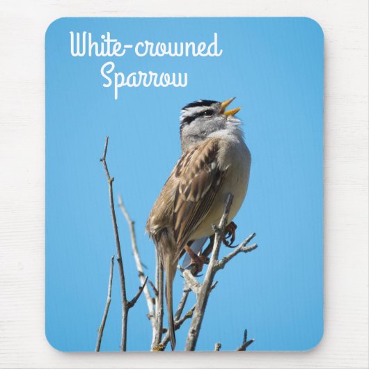 白い冠を持つ雀 マウスパッド (正面)