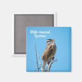 白い冠を持つ雀 マグネット (正面/裏面)