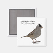 白い冠を持つ雀 マグネット (正面/裏面)