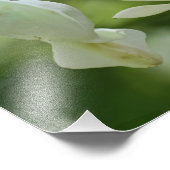 白い出血ハート花 フォトプリント            (角)