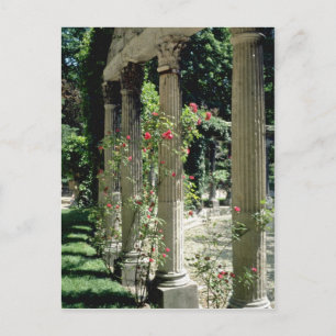 白い列とバラ- Parc Monceau, France flo ポストカード