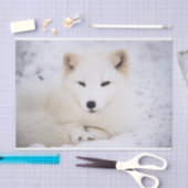 白い北極のキツネがあなたを見ている 薄葉紙 (クラフト)