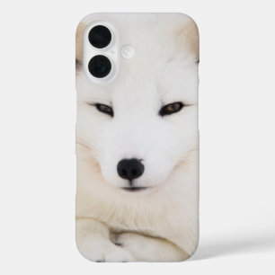白い北極狐 iPhone 16ケース