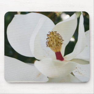 白い南マグノリアの花のギフトの花の終わり マウスパッド