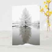 白い反射雪 カード (黄色い花)