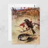 白い喉の付いたスズメと紅葉 ポストカード (正面/裏面)