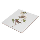 白い喉の付いたスズメのオードボンの花の鳥 タイル (側面)