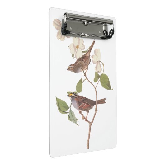白い喉の付いたスズメのオードボンの花の鳥 ミニクリップボード (アングル)