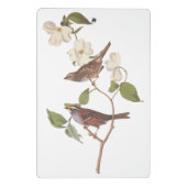 白い喉の付いたスズメのオードボンの花の鳥 ミニクリップボード (裏面)